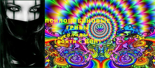 ГАЛЛЮЦИНОГЕННЫЕ ГРИБЫ Осташков