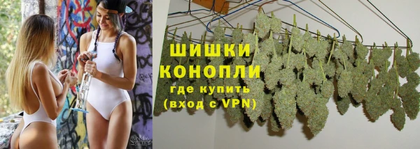 ГАЛЛЮЦИНОГЕННЫЕ ГРИБЫ Осташков