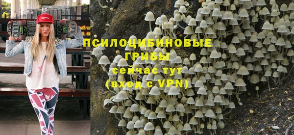ГАЛЛЮЦИНОГЕННЫЕ ГРИБЫ Осташков