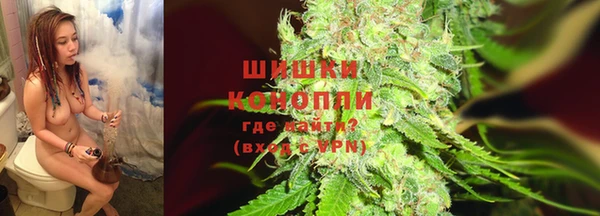 ГАЛЛЮЦИНОГЕННЫЕ ГРИБЫ Осташков