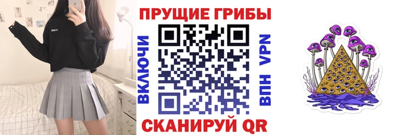 Галлюциногенные грибы ЛСД  Купить где  Змеиногорск 